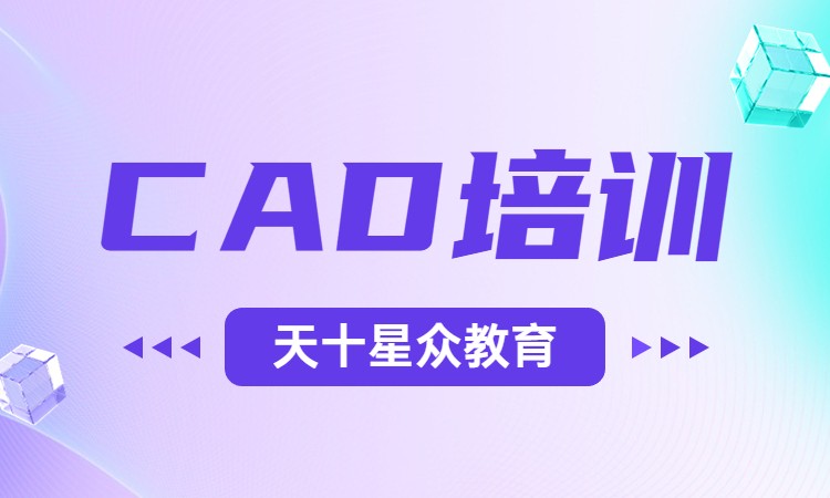 CAD 培训